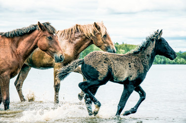 Similar image 22016060