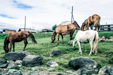 Similar image 22016061