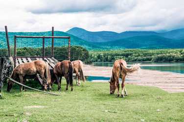 Similar image 22016062