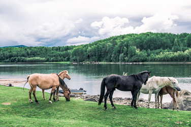 Similar image 22016063