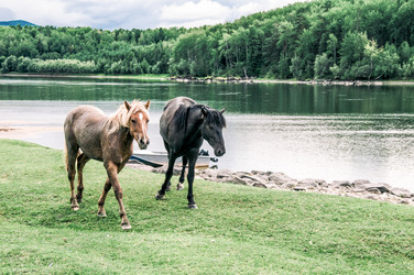 Similar image 22016065