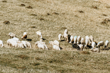 Similar image 22016066