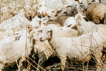 Similar image 22016067