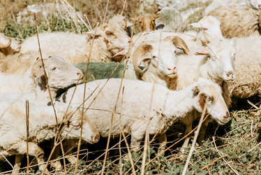 Similar image 22016068