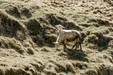 Similar image 22016069