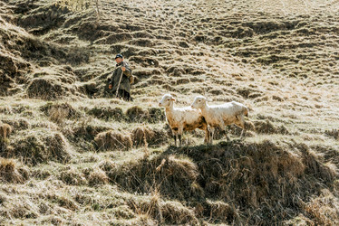 Similar image 22016070