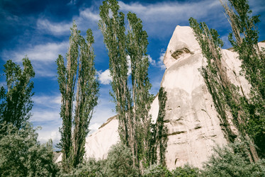 Similar image 22016074