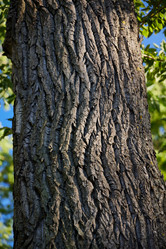 Similar image 22018566