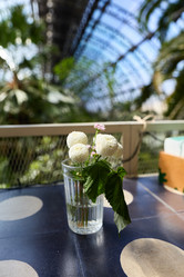 Similar image 22018572