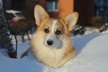 Similar image 22015573