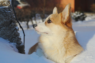 Similar image 22015577