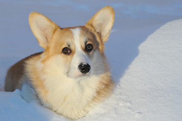 Similar image 22015579