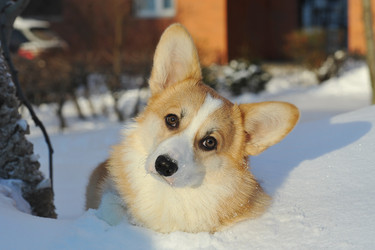 Similar image 22015581