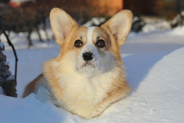 Similar image 22015583