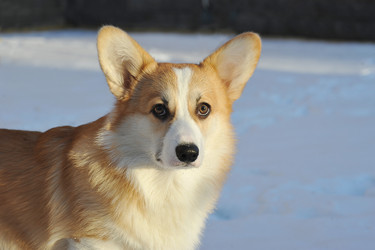 Similar image 22015585