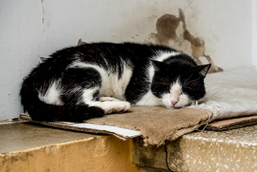 Similar image 22016075