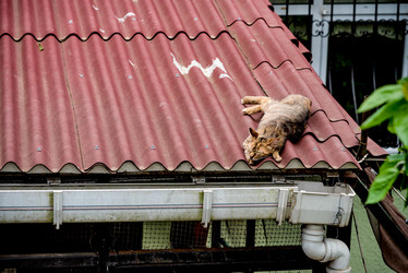 Similar image 22016077