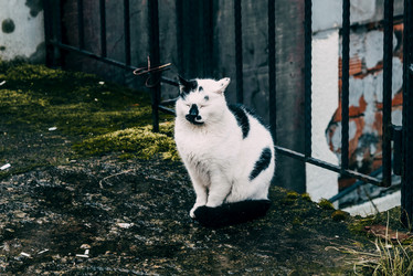 Similar image 22016079