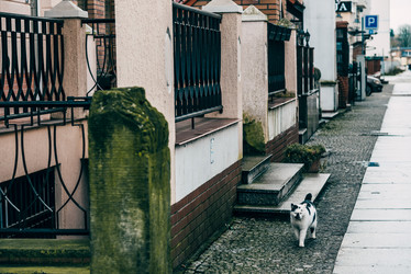 Similar image 22016081