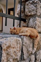 Similar image 22016082