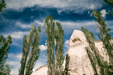 Similar image 22016083