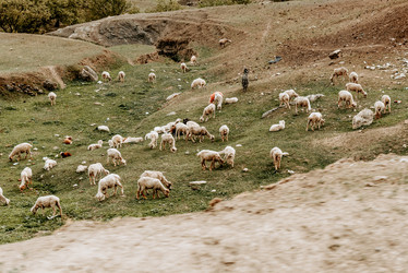 Similar image 22016177