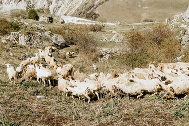 Similar image 22016178