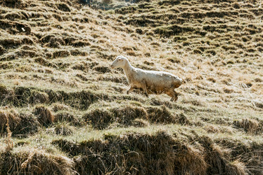 Similar image 22016180