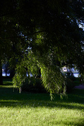 Similar image 22017438