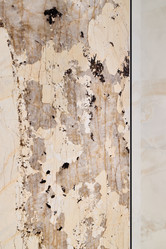 Similar image 22018573