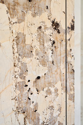 Similar image 22018575