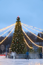 Similar image 22018582