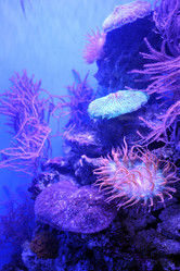 Similar image 22015733