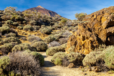 Similar image 22012895