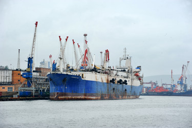 Similar image 22015613