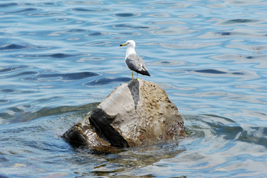 Similar image 22015619