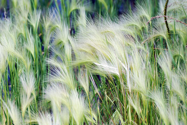 Similar image 22015622