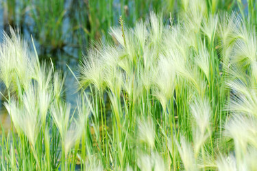 Similar image 22015624