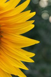 Similar image 22008642