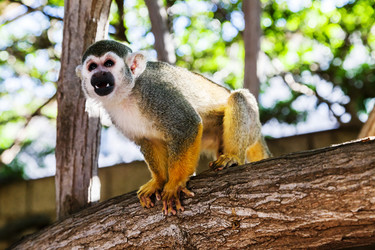 Similar image 22012041