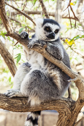 Similar image 22012047