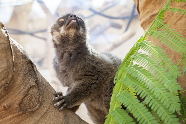 Similar image 22012084