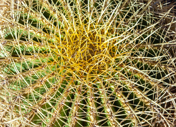 Similar image 22012197