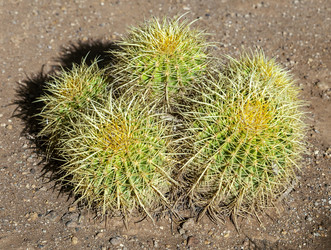 Similar image 22012199