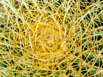 Similar image 22012201