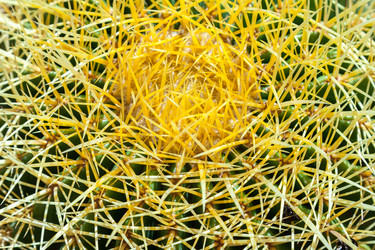 Similar image 22012203