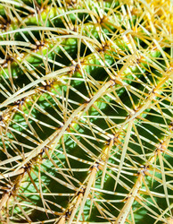 Similar image 22012246