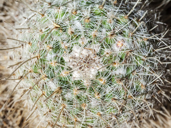 Similar image 22012286