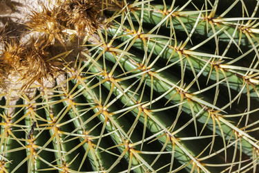 Similar image 22012292