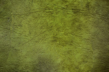 Similar image 22007682